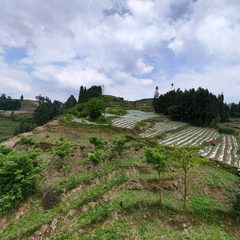 山間景色