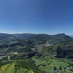 美丽乡村·林木觉地