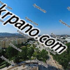 圆