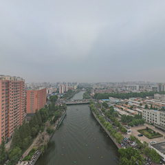 臨沭龍舟賽