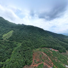 鴻門人家家庭農場全景圖2