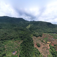 鴻門人家家庭農場全景圖
