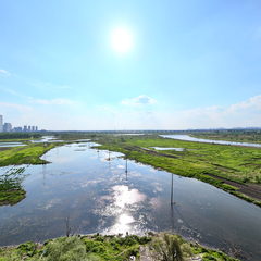 水連地的記憶